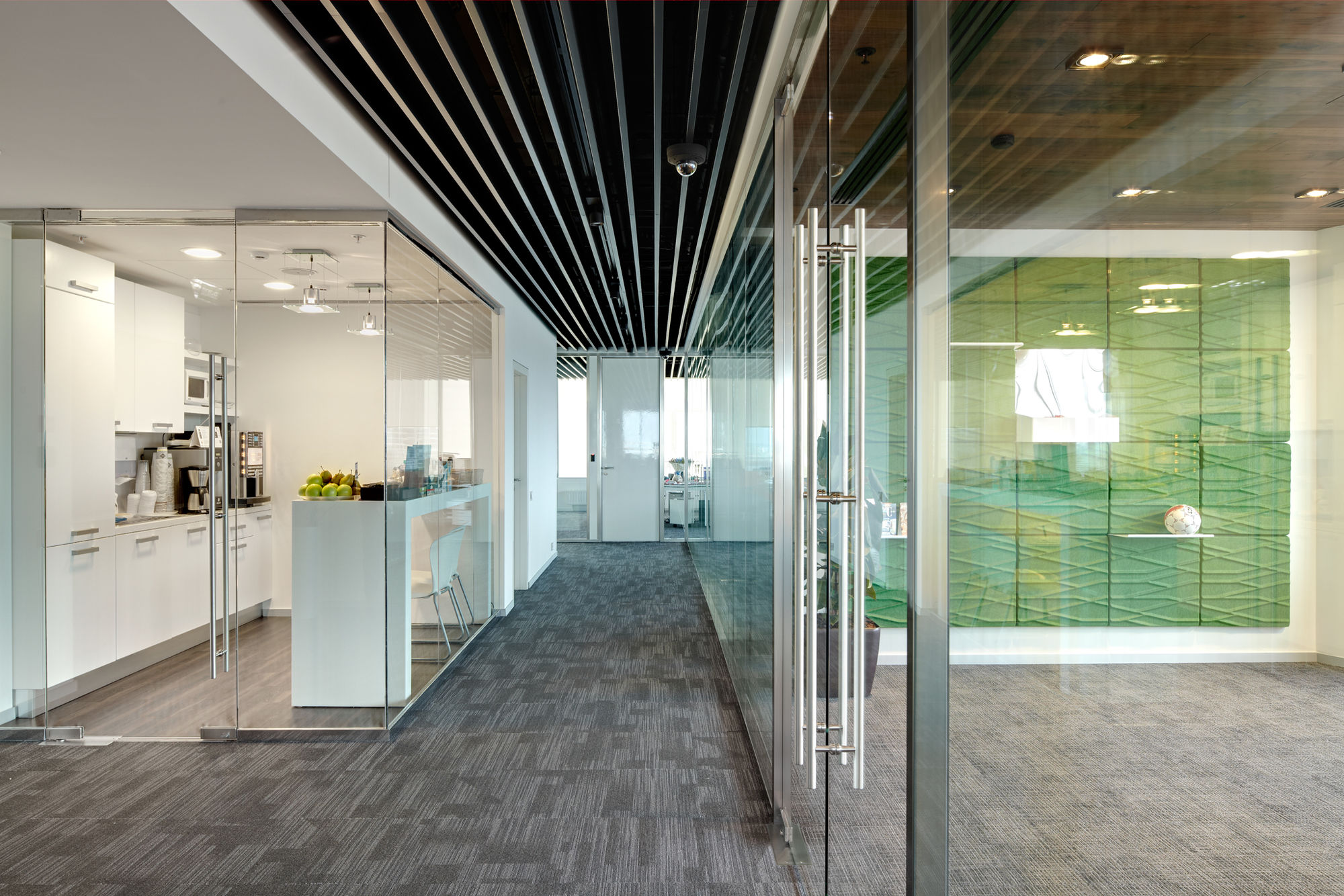 Фото Стеклянные двери (цельностеклянные)