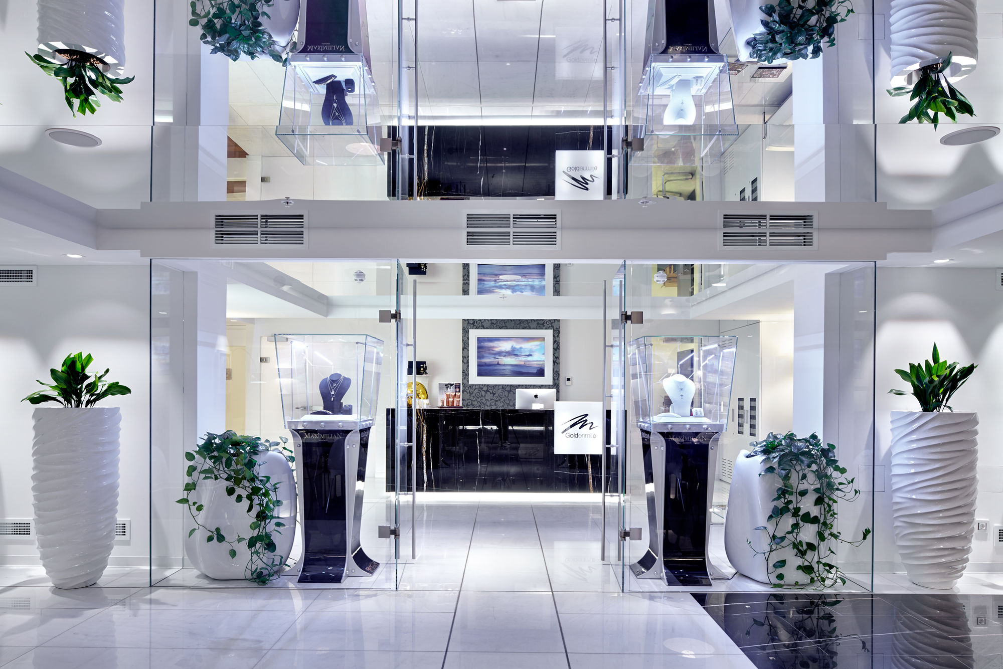 Фото Стеклянные двери (цельностеклянные)