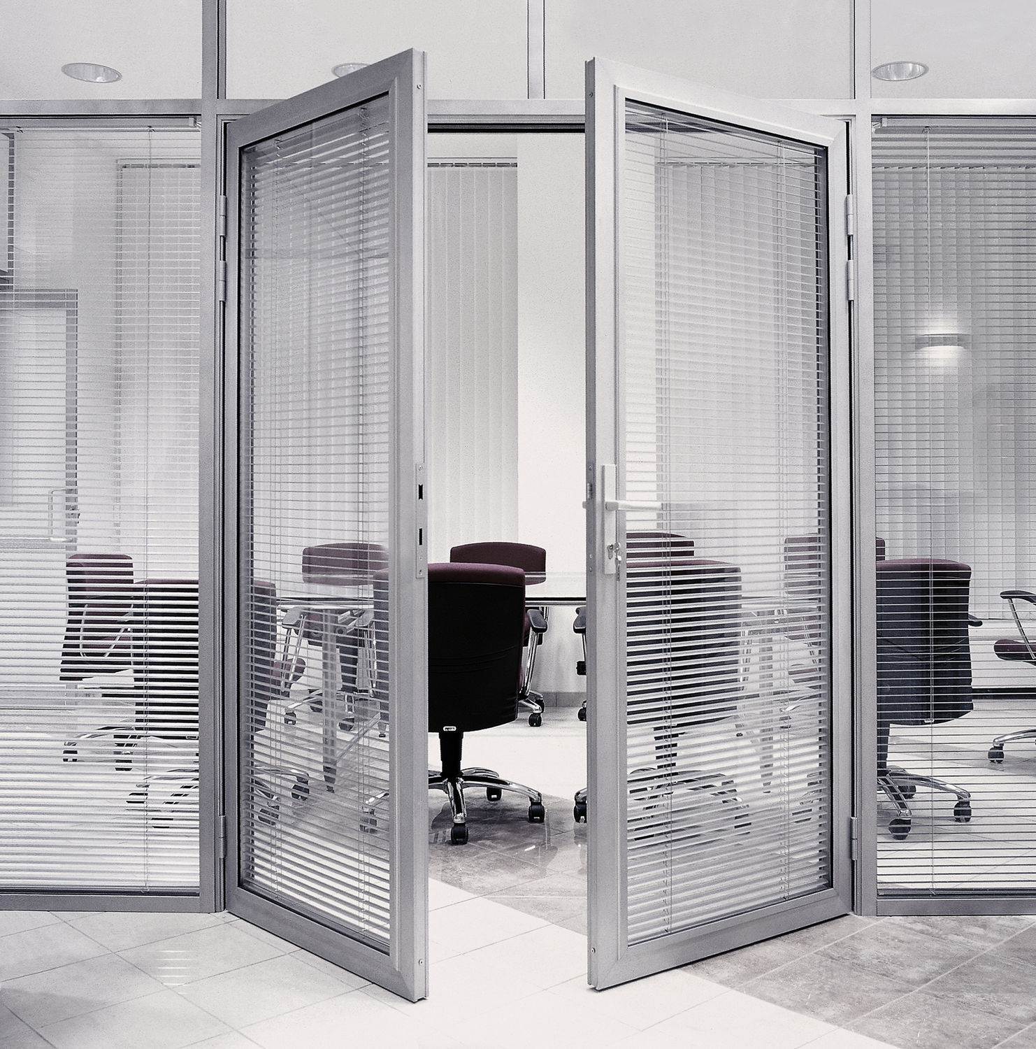 Фото Двери VITRAGE I,II